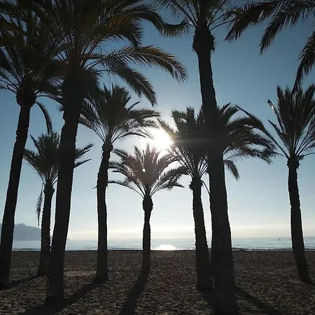 Апартаменты Vistas A 50 M Playa *