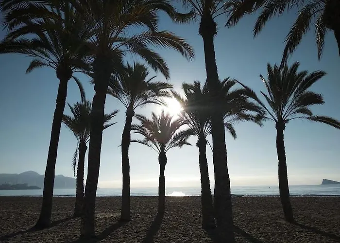 アパート Vistas A 50 M Playa *